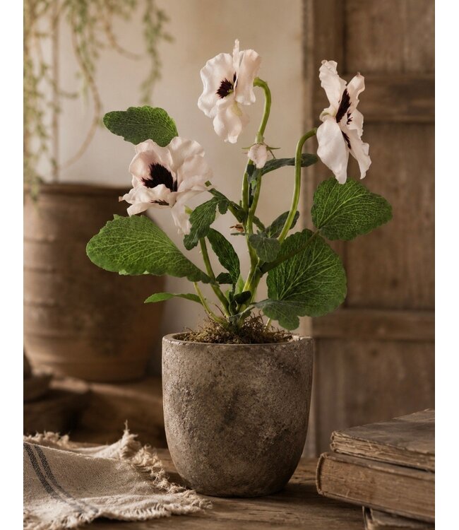 # viooltje met 3 bloemen, 1 knop & 11 bladeren - 27 cm