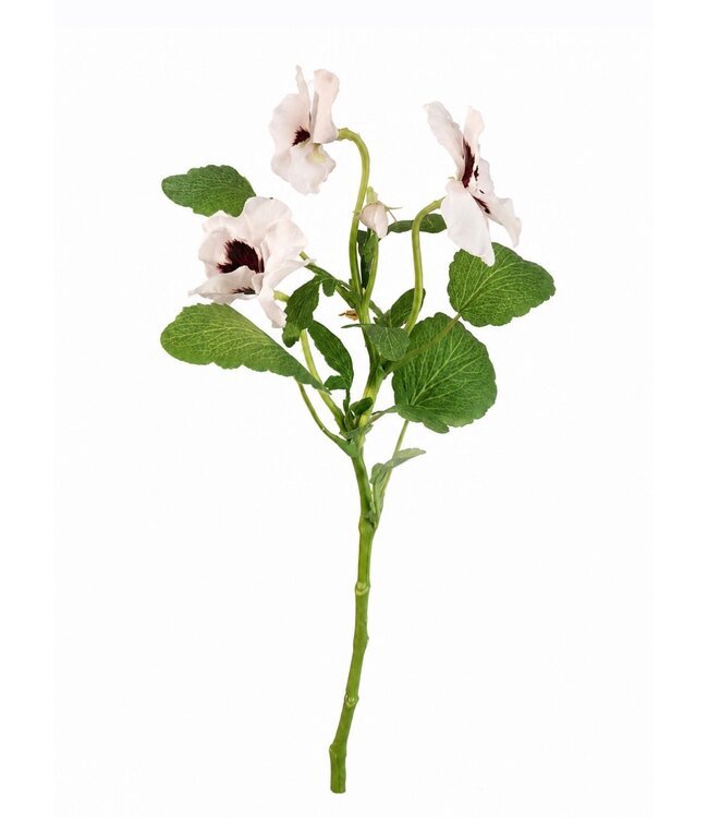 # viooltje met 3 bloemen, 1 knop & 11 bladeren - 27 cm