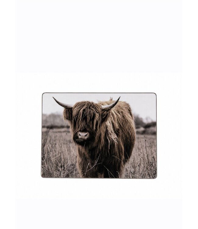 869 - Schotse hooglander - bruin - 19 x 14 cm