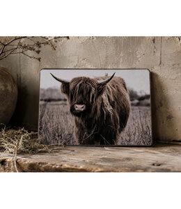 869 - Schotse hooglander - bruin - 19 x 14 cm