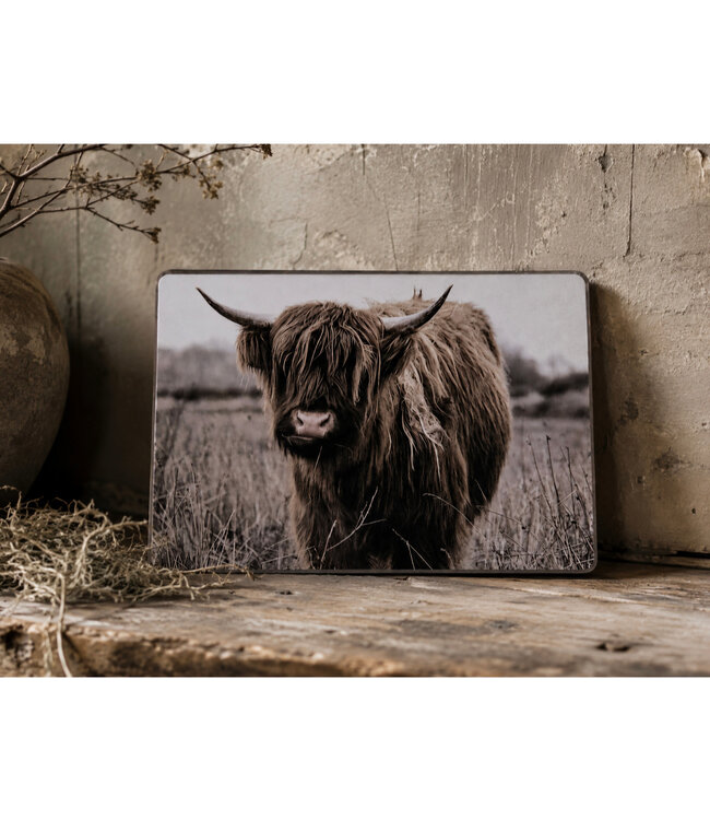 869 - Schotse hooglander - bruin - 19 x 14 cm