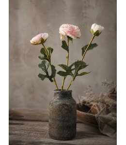 # Ranonkel knop Pink - ca. 45 cm