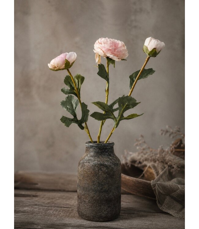 # Ranonkel knop Pink - ca. 45 cm