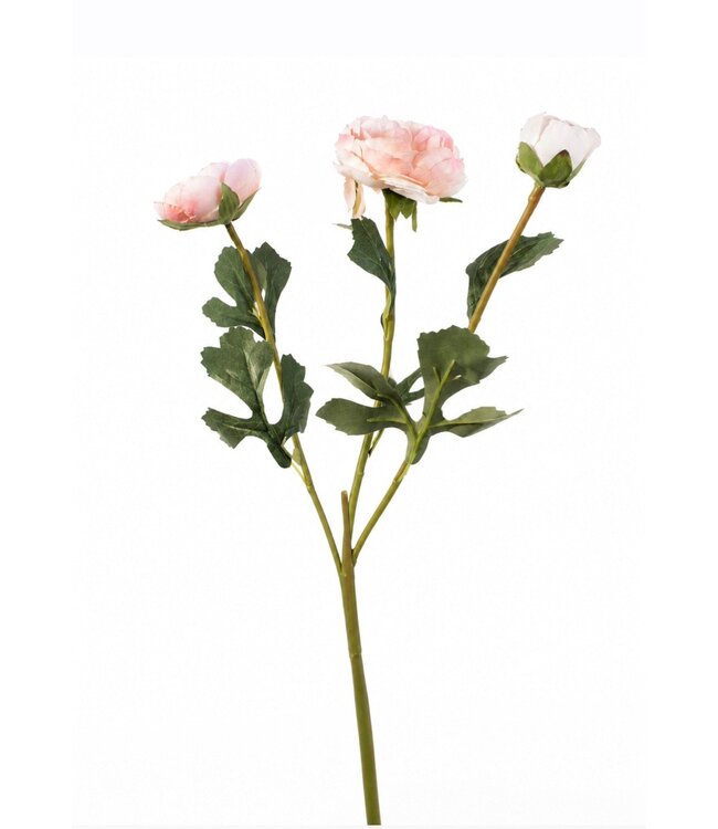 # Ranonkel knop Pink - ca. 45 cm