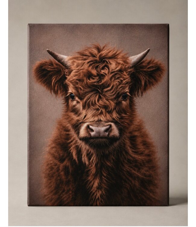 Schilderij hooglander jong - canvas - 40 x 50 cm