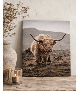 Schilderij hooglander grijs - canvas - 40 x 50 cm