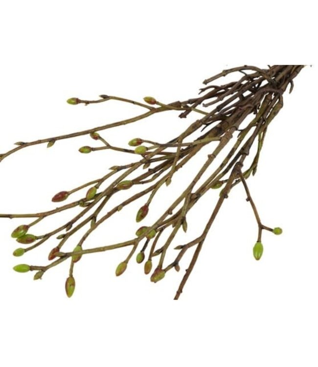 Countryfield # Kunst bundel Tilia 3x groen-L42B15H5CM