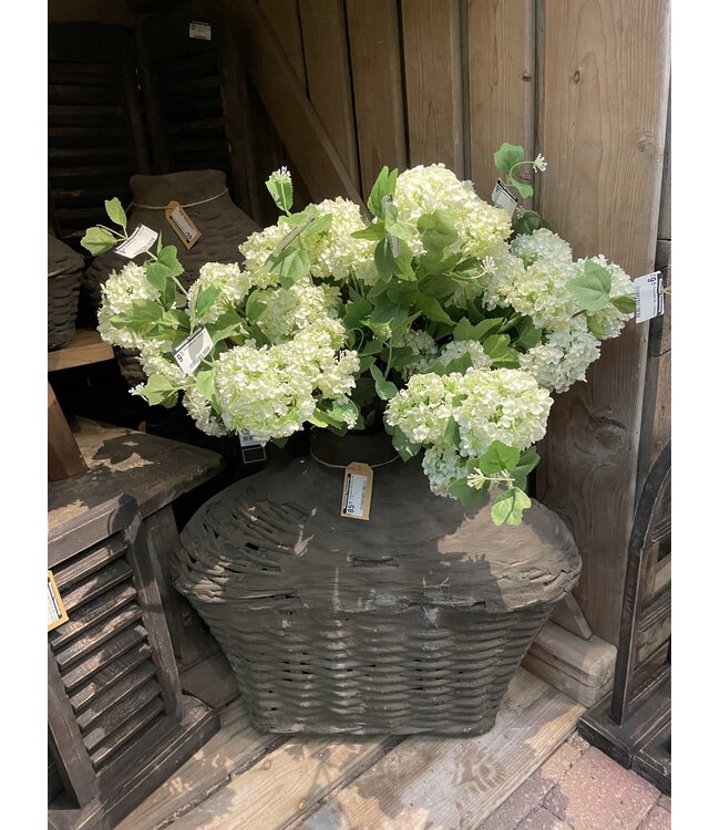 Countryfield Sneeuwbal wit - viburnum