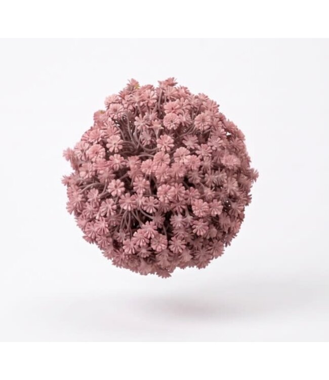Gypsophila Bol Pink