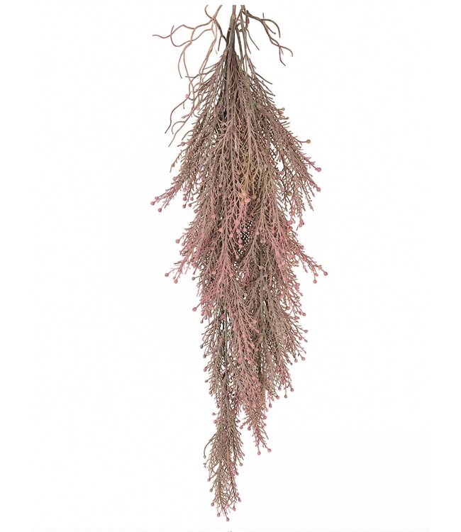 Countryfield Plant steker/hang Juniperus rood-20x20x78CM