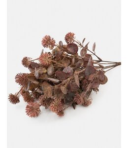 Countryfield Plant steker Acaena rood-12x12x35CM