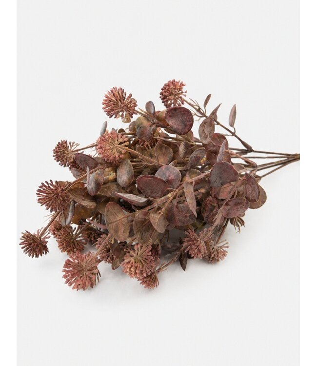 Countryfield Plant steker Acaena rood-12x12x35CM