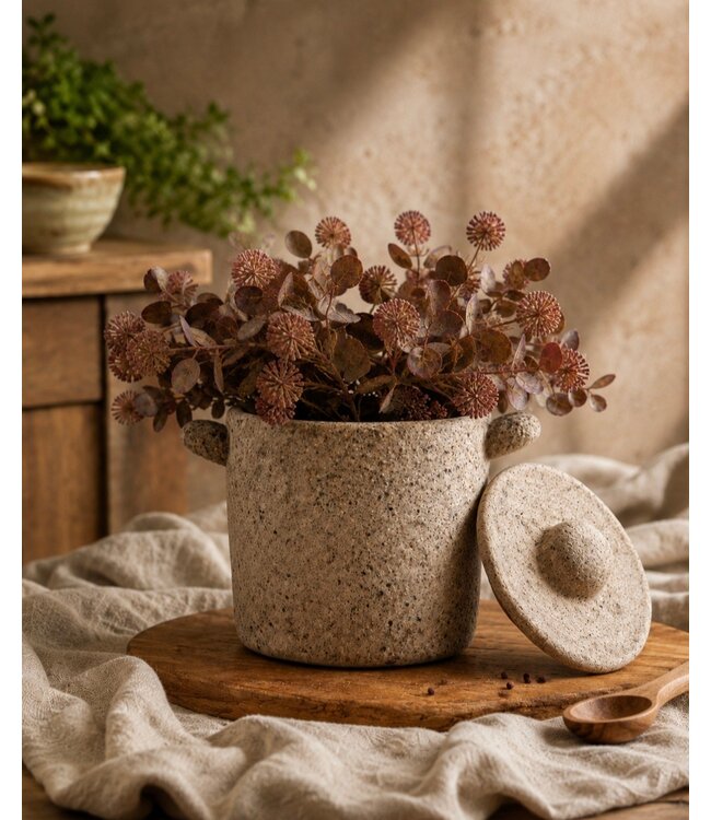 Countryfield Plant steker Acaena rood-12x12x35CM