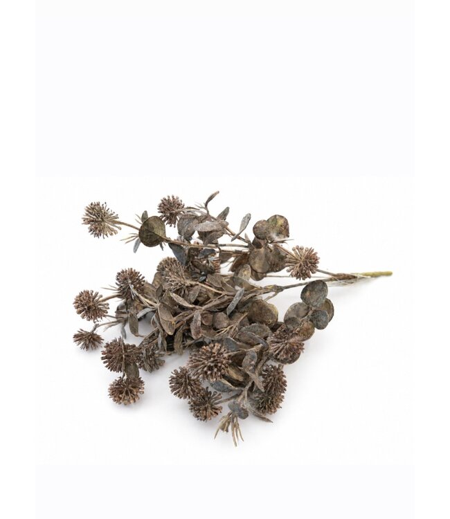 Countryfield Plant steker Acaena paars-12x12x35CM