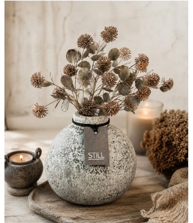 Countryfield Plant steker Acaena paars-12x12x35CM