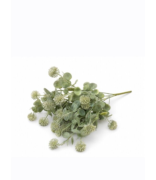 Countryfield Plant steker Acaena grijsgroen-12x12x35CM