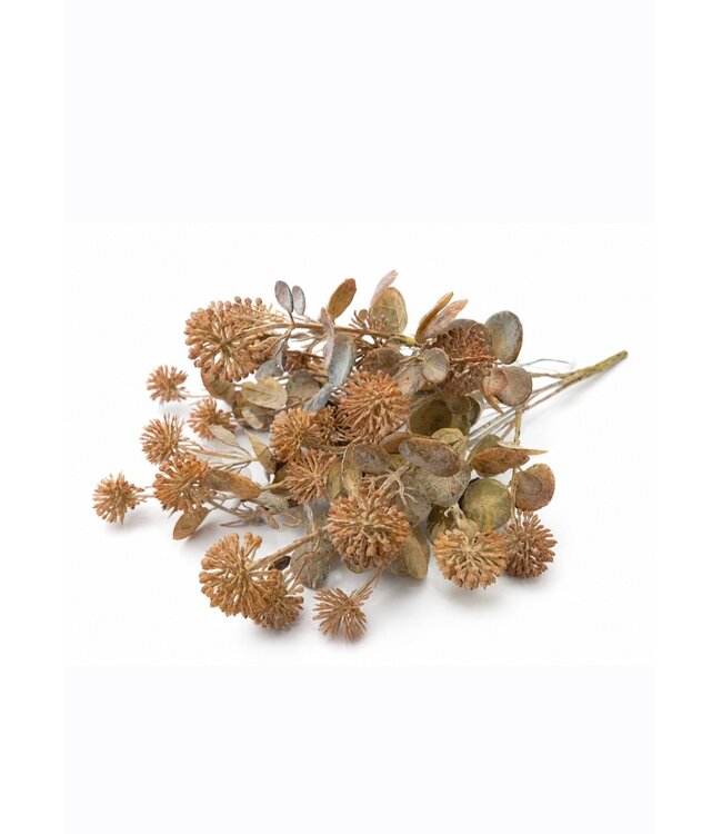 Countryfield Plant steker Acaena l.bruin-12x12x35CM