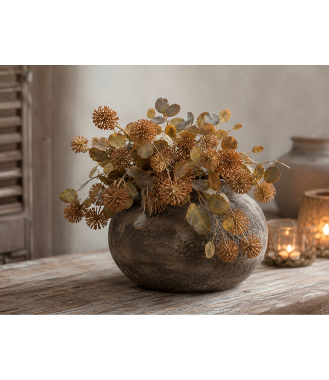 Countryfield Plant steker Acaena l.bruin-12x12x35CM