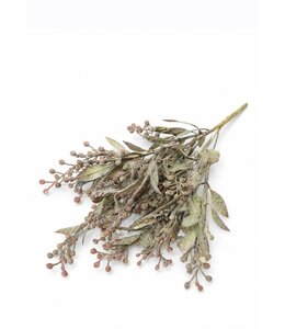Countryfield Plant steker Schinus paars-12x12x35CM