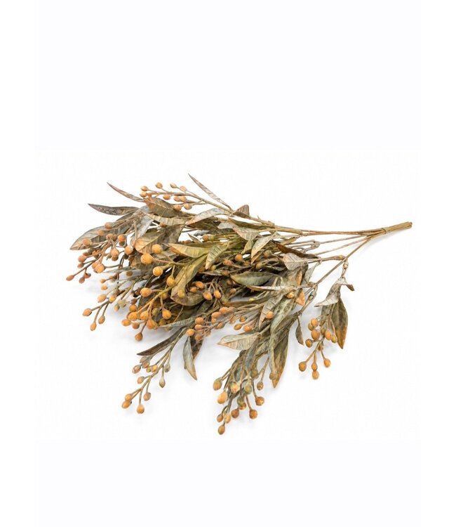 Countryfield Plant steker Schinus l.bruin-12x12x35CM
