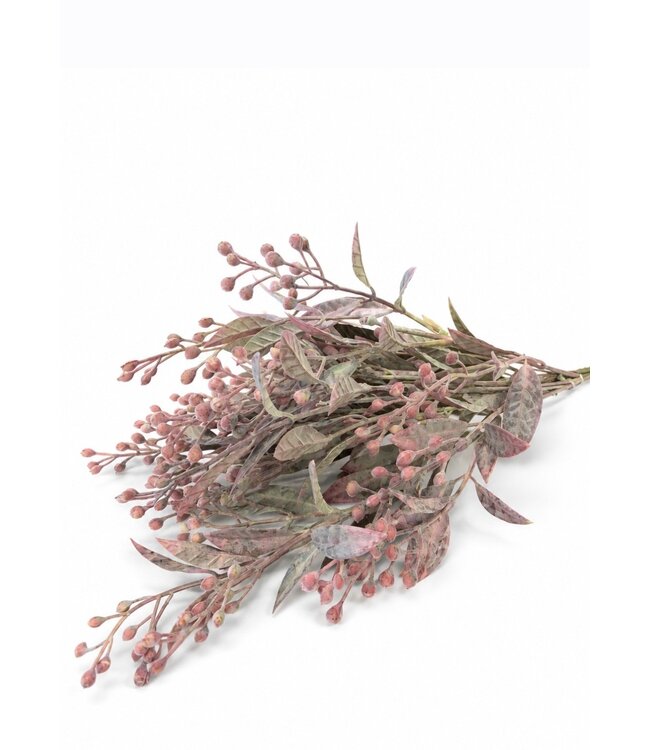 Countryfield Plant steker Schinus rood-12x12x35CM