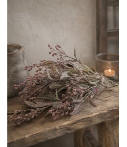 Countryfield Plant steker Schinus rood-12x12x35CM