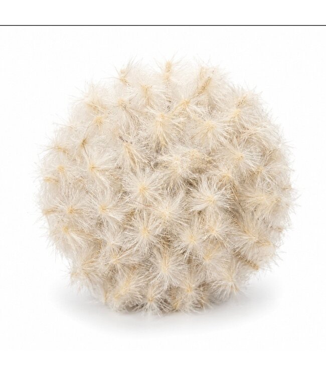 Countryfield @ Deco bol Taraxacum S crème-12x12x12CM