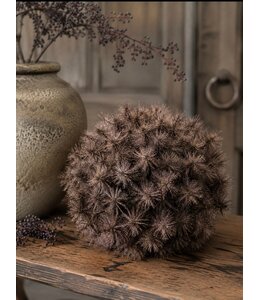 Countryfield @ Deco bol Taraxacum S bruin-12x12x12CM