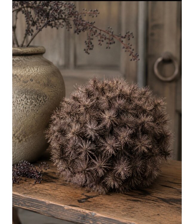 Countryfield @ Deco bol Taraxacum S bruin-12x12x12CM