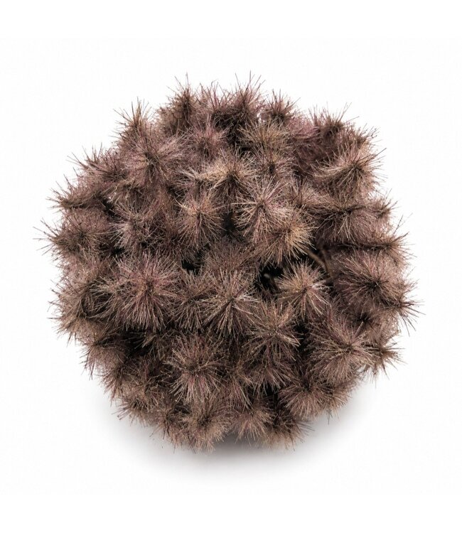 Countryfield @ Deco bol Taraxacum S bruin-12x12x12CM