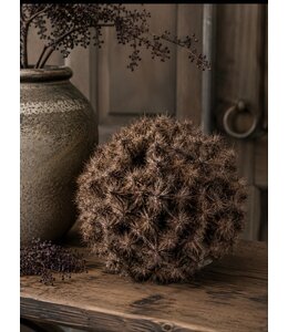 Countryfield @ Deco bol Taraxacum L bruin-16x16x16CM
