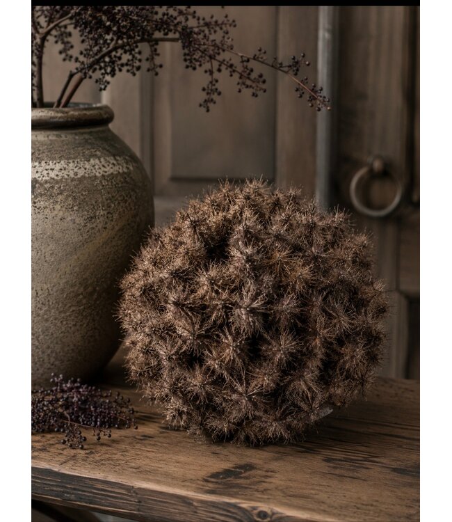 Countryfield @ Deco bol Taraxacum L bruin-16x16x16CM