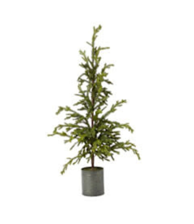 Picea in zinken pot - 75 cm