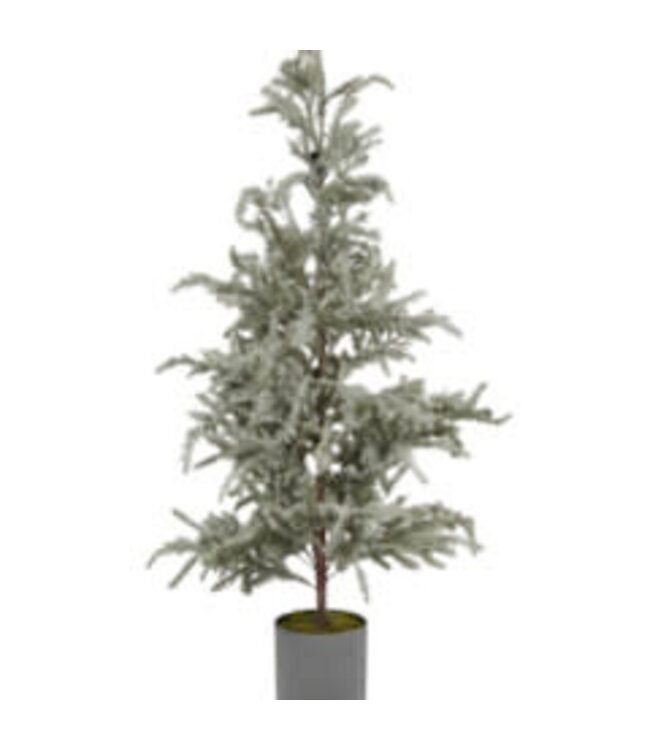 Picea omorika L in pot real touch - 80 × 80 × 150 cm