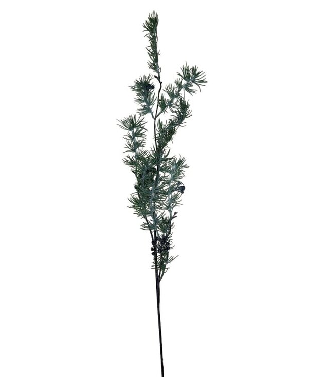 Jeneverbes tak hanger - 90 cm