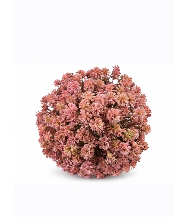 @ Gypsophila Bol Pink - ca. 16 cm - per stuk