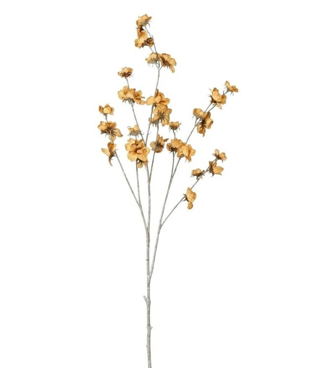 Springer yellow L - ca. 85 cm