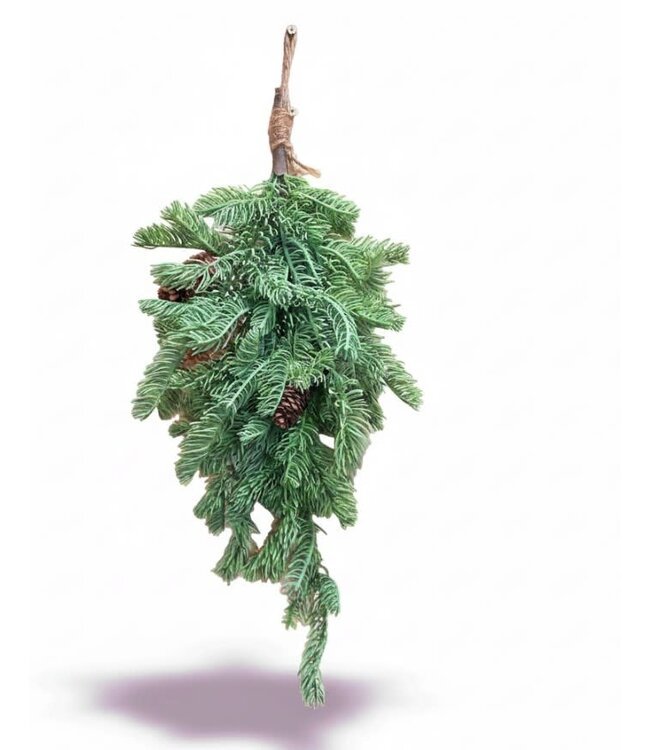 Abies procera S d.groen - ca. 50cm