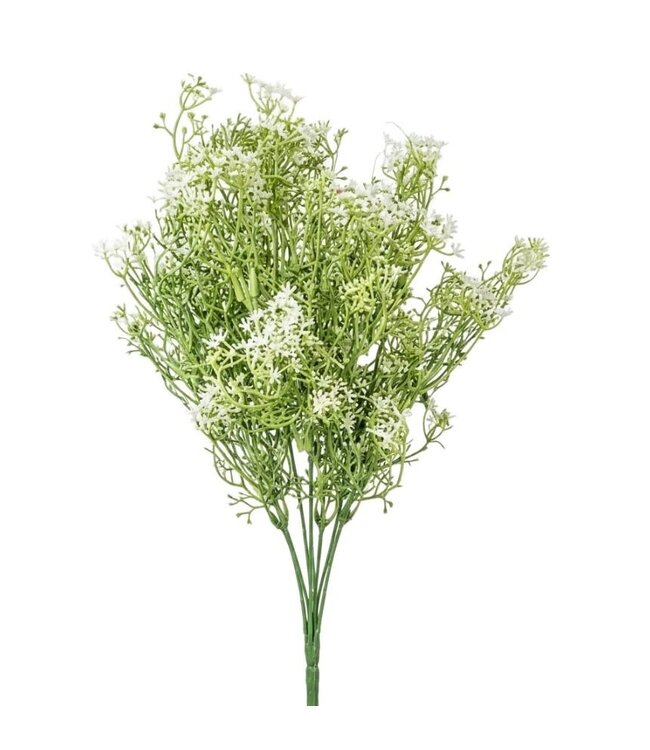 Steentijm wit - 35 cm