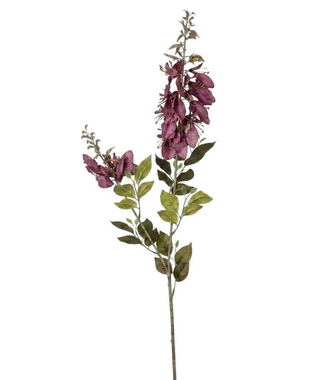 Wisteria purple M - 100 cm