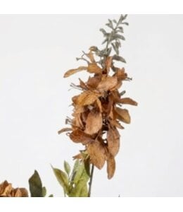 Wisteria orange M - 100 cm