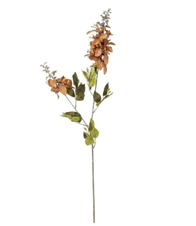 Wisteria orange M - 100 cm