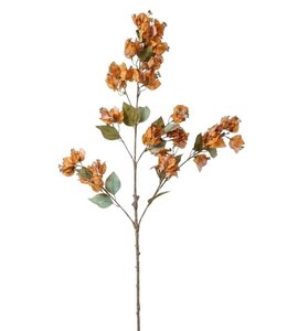 Bouganville Brown - 102 cm