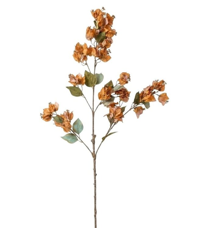 Bouganville Brown - 102 cm