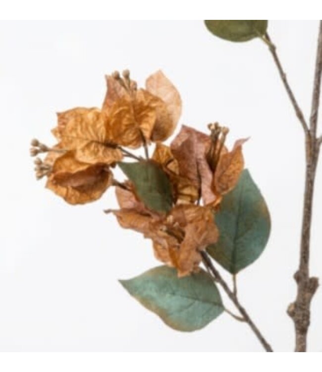 Bouganville Brown - 102 cm
