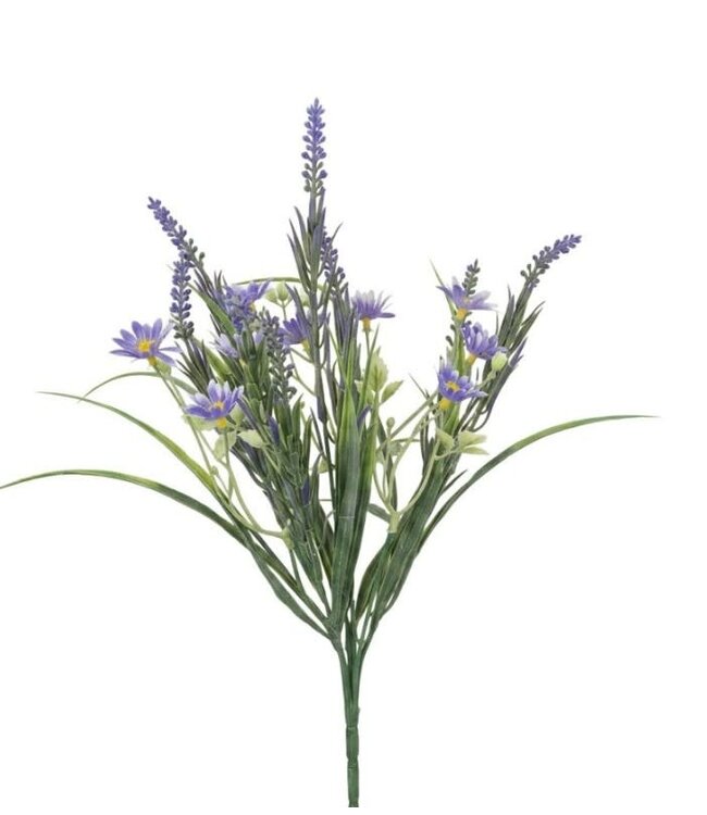 Blauwe druif mix - 30 cm