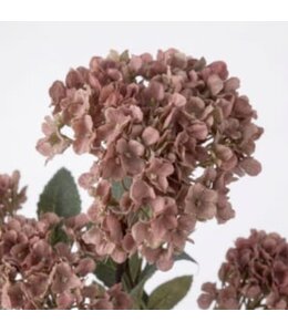 Hydrangea Spray coffee M - 65 cm