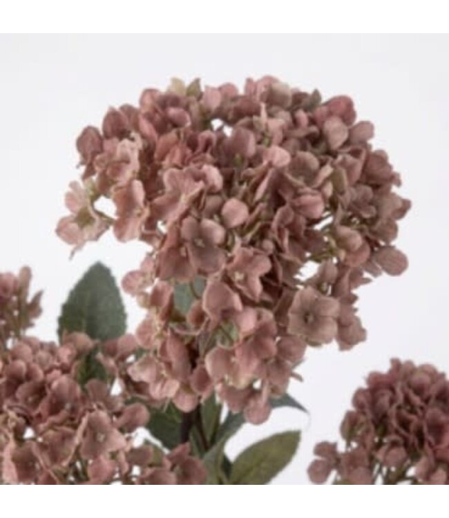 Hydrangea Spray coffee M - 65 cm