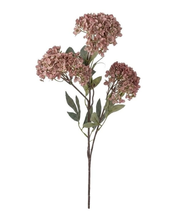 Hydrangea Spray coffee M - 65 cm