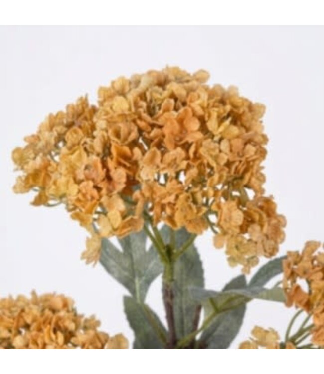 Hydrangea Spray yellow M - 65 cm